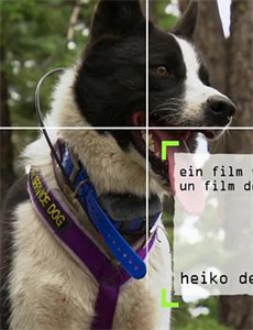 少女爱上姐姐 第二季